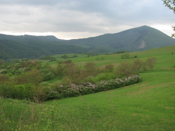 Zdjęcie ze Słowacji - Widok z husyckich ruin.