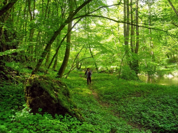 Zdjęcie ze Słowacji - Rez. Przełom Murania.