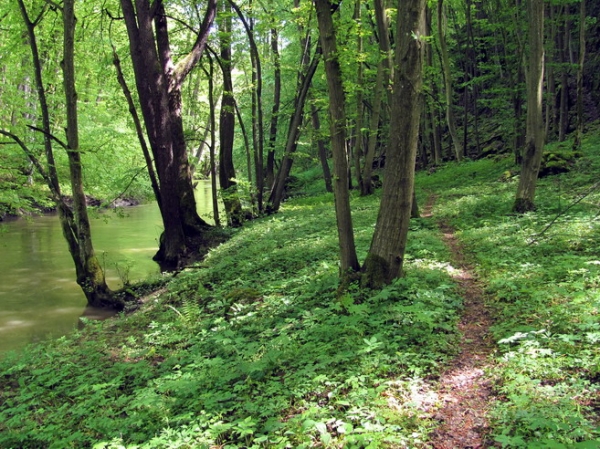 Zdjęcie ze Słowacji - Rez. Przełom Murania.