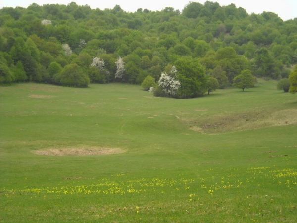 Zdjęcie ze Słowacji - Plesivska Planina.