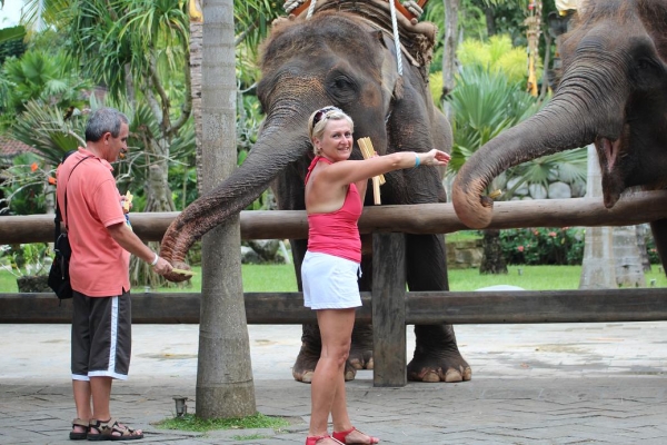 Zdjęcie z Indonezji - Spotkanie ze słoniami