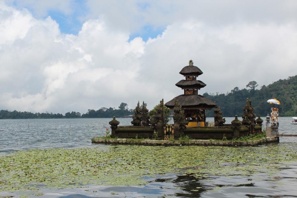 Zdjęcie z Indonezji - 