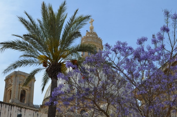 Zdjęcie z Malty - Valletta