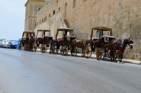 Zdjęcie z Malty - Valletta