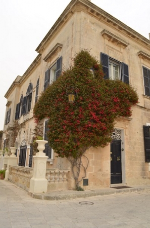 Zdjęcie z Malty - MDINA
