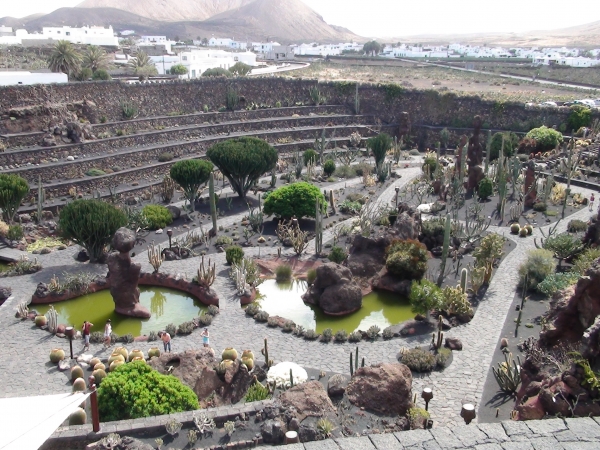 Zdjęcie z Hiszpanii - Ogród kaktusów Lanzarote