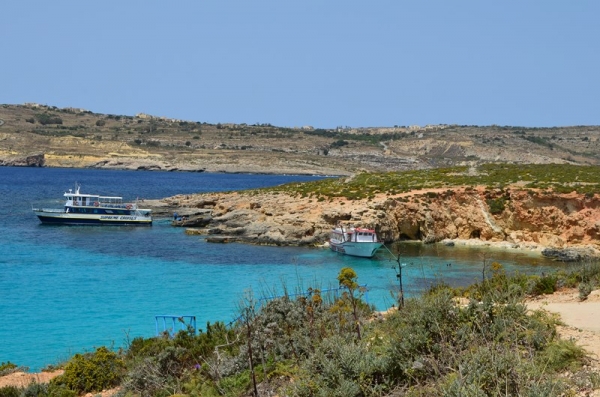 Zdjęcie z Malty - BLUE LAGOON-COMINO