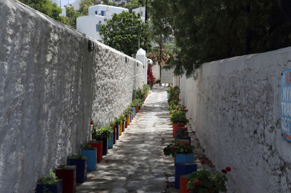 Zdjęcie z Grecji - MYKONOS