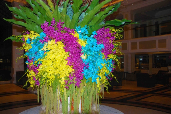 Zdjęcie z Tajlandii - Kolorowe orchidee
