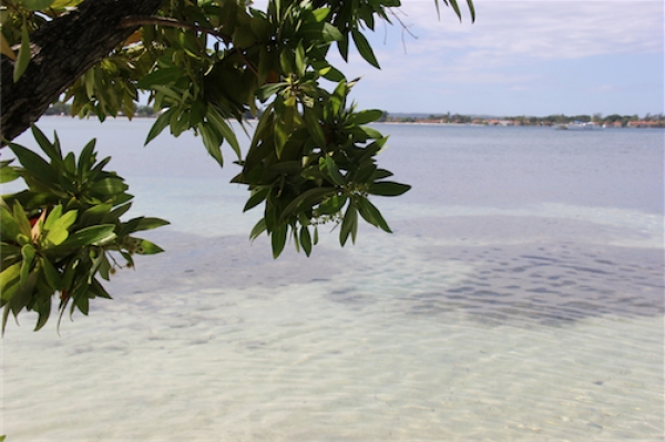 Zdjęcie z Jamajki - Negril