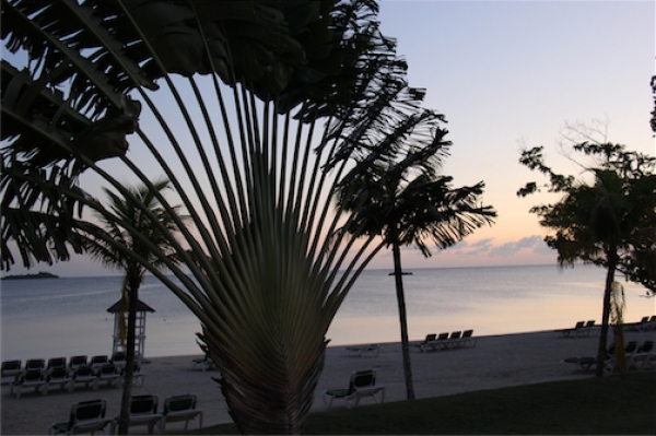 Zdjęcie z Jamajki - Riu Negril