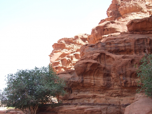 Zdjęcie z Izraelu - Wadi Rum