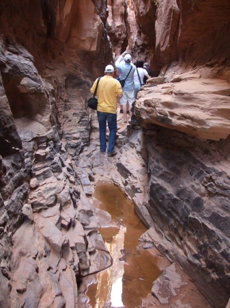 Zdjęcie z Izraelu - Wadi Rum
