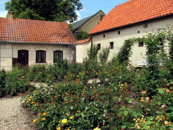 Zdjęcie z Polski - Pałacowa "różanka".