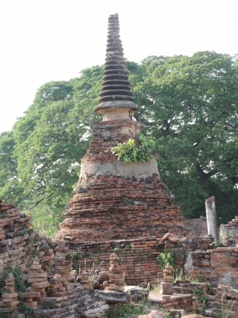 Zdjęcie z Tajlandii - Ayutthaya.