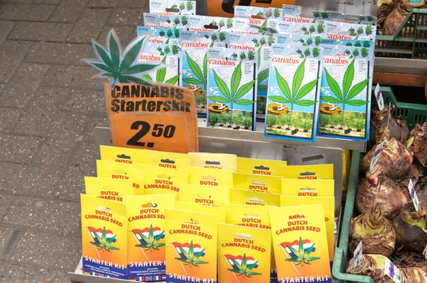 Zdjęcie z Holandii - AMSTERDAM