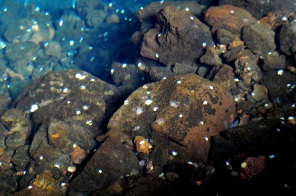 Zdjęcie z Hiszpanii - Jameos del Aqua