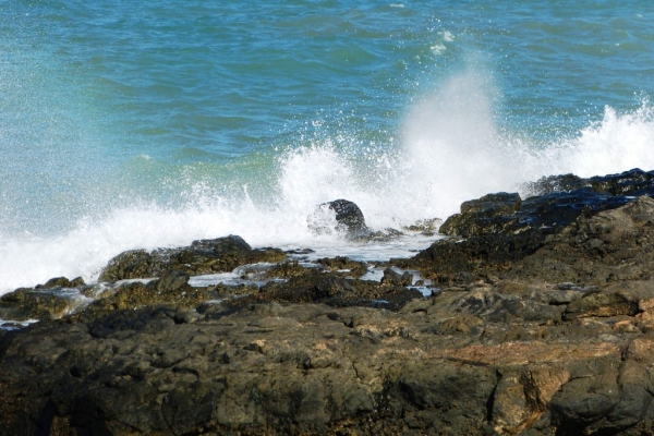 Zdjęcie z Hiszpanii - Costa Teguise