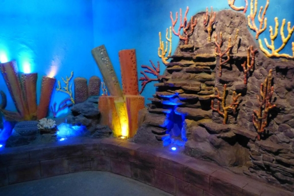 Zdjęcie z Hiszpanii - C. Teguise - Aquarium