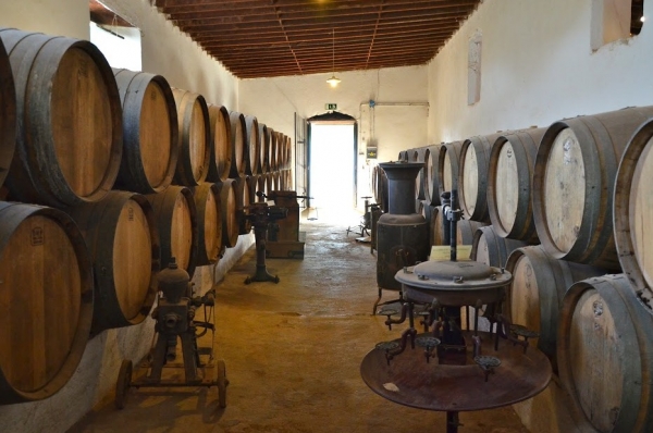 Zdjęcie z Hiszpanii - La Geria -Bodega
