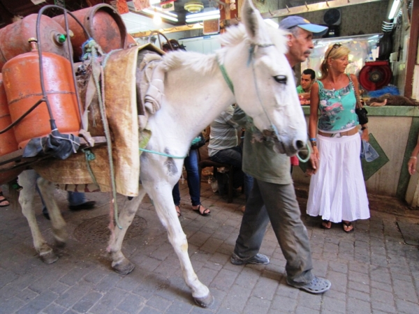 Zdjęcie z Maroka - Fes