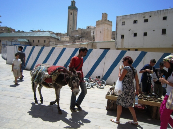 Zdjęcie z Maroka - Fes
