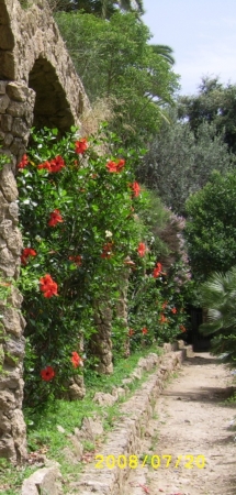 Zdjęcie z Hiszpanii - Park Guell