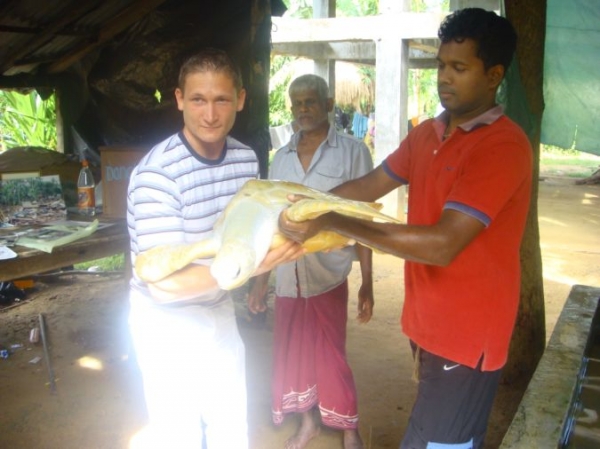 Zdjęcie ze Sri Lanki - 