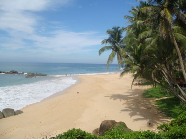 Zdjęcie ze Sri Lanki - 