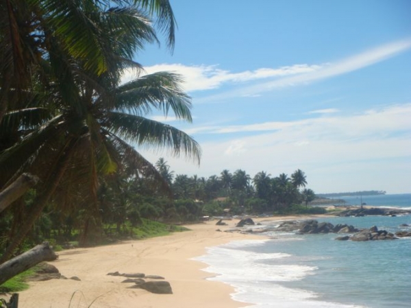Zdjęcie ze Sri Lanki - 
