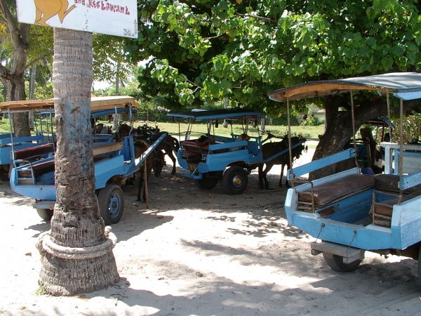 Zdjęcie z Indonezji - Gili Air