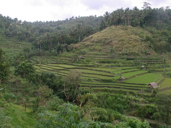 Zdjęcie z Indonezji - Bali