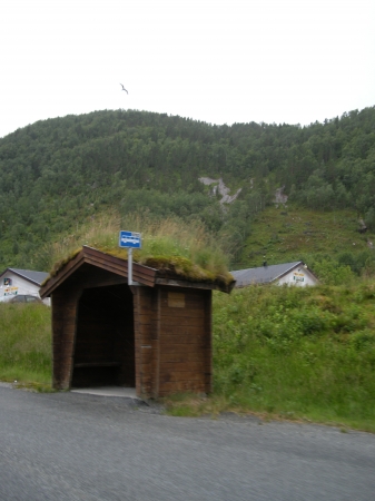 Zdjęcie z Norwegii - 
