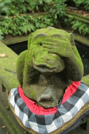 Zdjęcie z Indonezji - Bali Ubud Monkey Forest