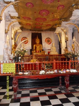 Zdjęcie ze Sri Lanki - 