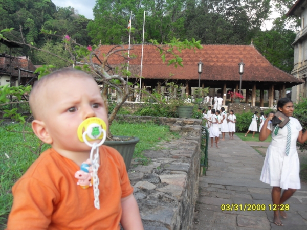Zdjęcie ze Sri Lanki - 