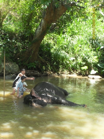 Zdjęcie ze Sri Lanki - 