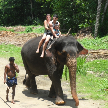 Zdjęcie ze Sri Lanki - 
