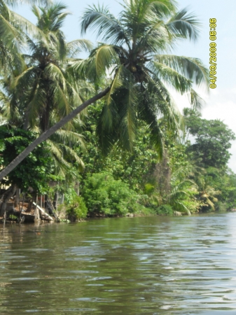 Zdjęcie ze Sri Lanki - 