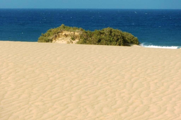 Zdjęcie z Hiszpanii - Corralejo