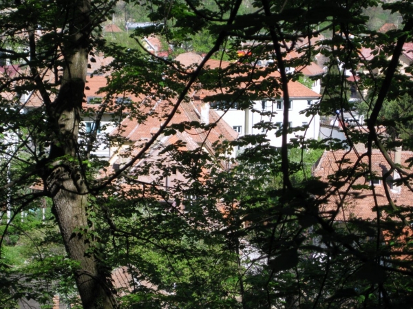Zdjęcie z Rumunii - Sighiszoara