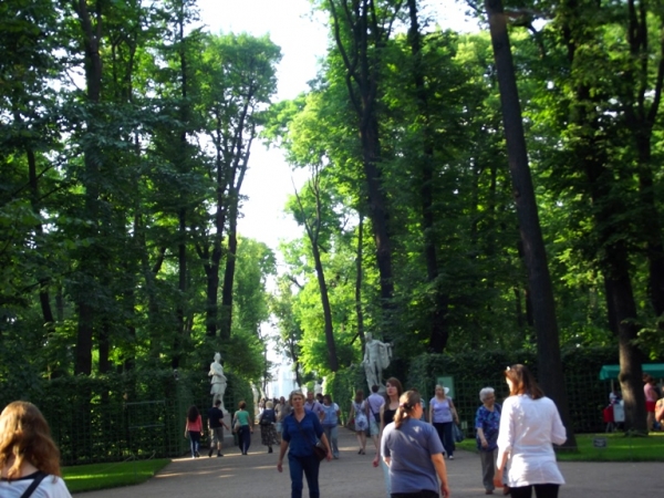Zdjęcie z Rosji - Ogród Letni
