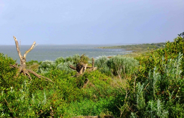 Zdjęcie z Australii - Wody laguny Coorong