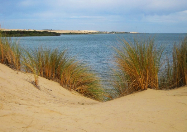 Zdjęcie z Australii - Wydmy Coorong
