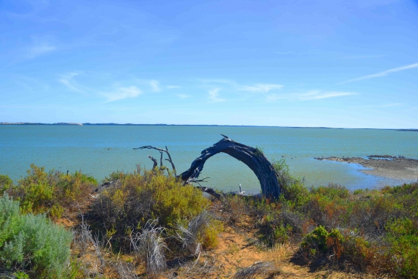 Zdjęcie z Australii - Coorong National Park