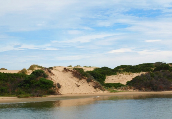 Zdjęcie z Australii - Coorong National Park