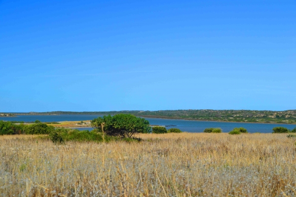Zdjęcie z Australii - Coorong National Park