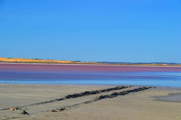 Zdjęcie z Australii - Slone jezioro Pink Lake