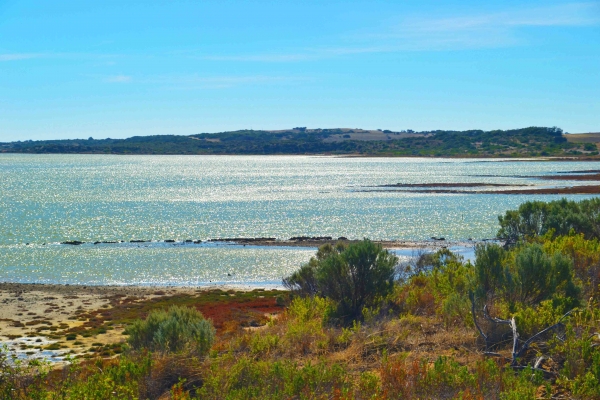 Zdjęcie z Australii - Laguna Coorong