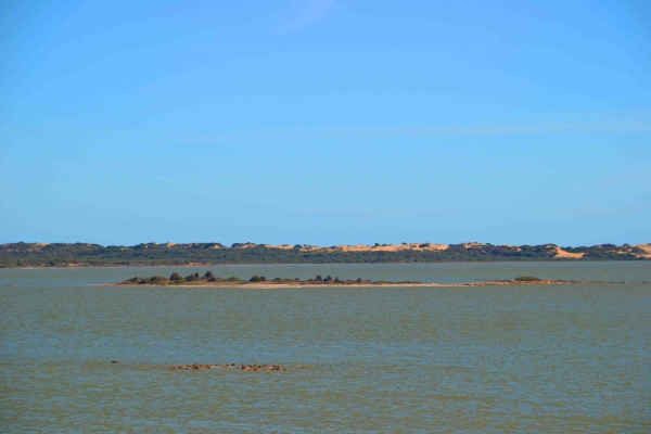 Zdjęcie z Australii - Laguna Coorong